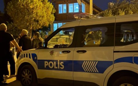 Antalya'da Sağlıksız Şartlarda Tutulan 25 Kedi ve 2 Köpek Kurtarıldı