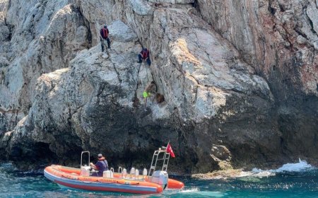 Alanya Sahil Güvenlikten Dağ Keçisine Hayat Kurtaran Müdahale