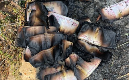 Antalya'da Yangında Parasını Kaybeden Yaşlı Çiftin Yüzü Devlet Desteğiyle Güldü