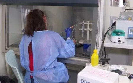 Yapay Zeka Kanserle Mücadelede Yeni Bir Dönem Başlatıyor