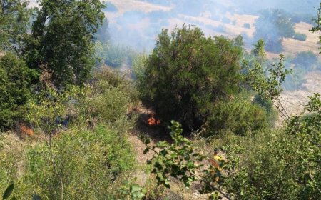 Kumluca’da Otluk Alanda Çıkan Yangın Büyümeden Söndürüldü