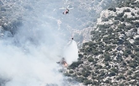 Finike’de Orman Yangınına Havadan ve Karadan Müdahale