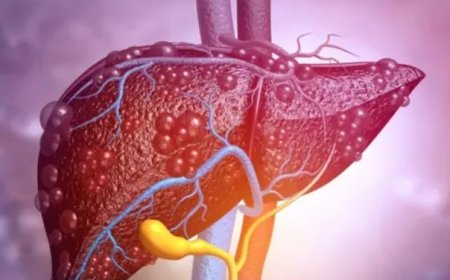 Karaciğer Yetmezliği Her Yaşta Görülebilir: Zamanında Müdahale Hayat Kurtarıyor