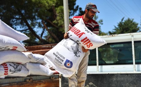 Antalya’da Hayvancılığa Büyükşehir Desteği: 59 Çiftçiye 2.851 Çuval Yem