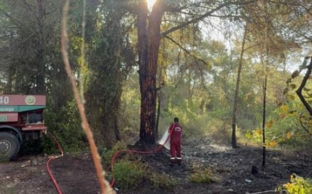 Antalya Serik’te Çıkan Yangın Hızlı Müdahaleyle Söndürüldü