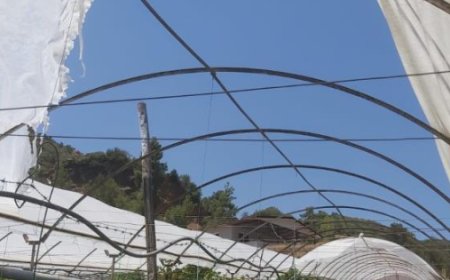Kumluca’da Hortum Tarımı Vurdu: Hasar Tespit Başladı
