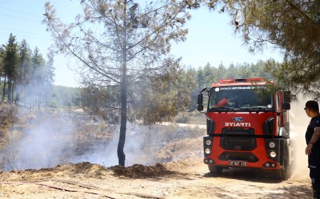 Antalya Büyükşehir İtfaiyesi Üç İlçede Orman Yangınına Müdahale Etti