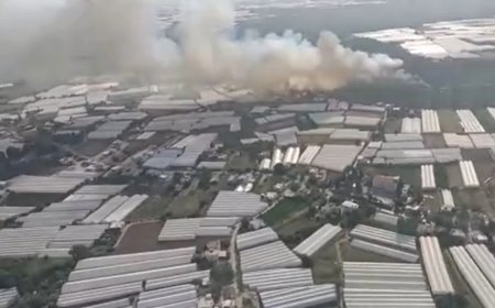 Antalya'nın Aksu İlçesinde Orman Yangını: Müdahale Sürüyor