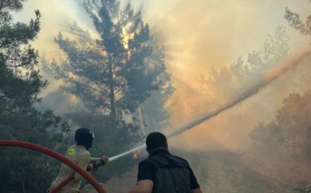 Gazipaşa’da Orman Yangını Çıktı, Müdahale Sürüyor