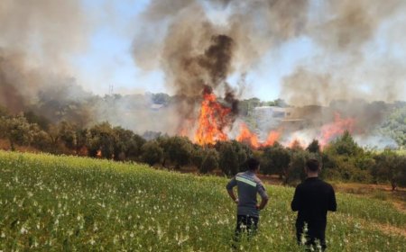 Antalya'da ormanlık ve kırsal alanda çıkan yangın kontrol altına alındı