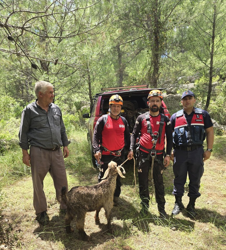 Manavgat’ta Kaybolan Keçi 15 Metrelik Mağaradan Çıkarıldı.