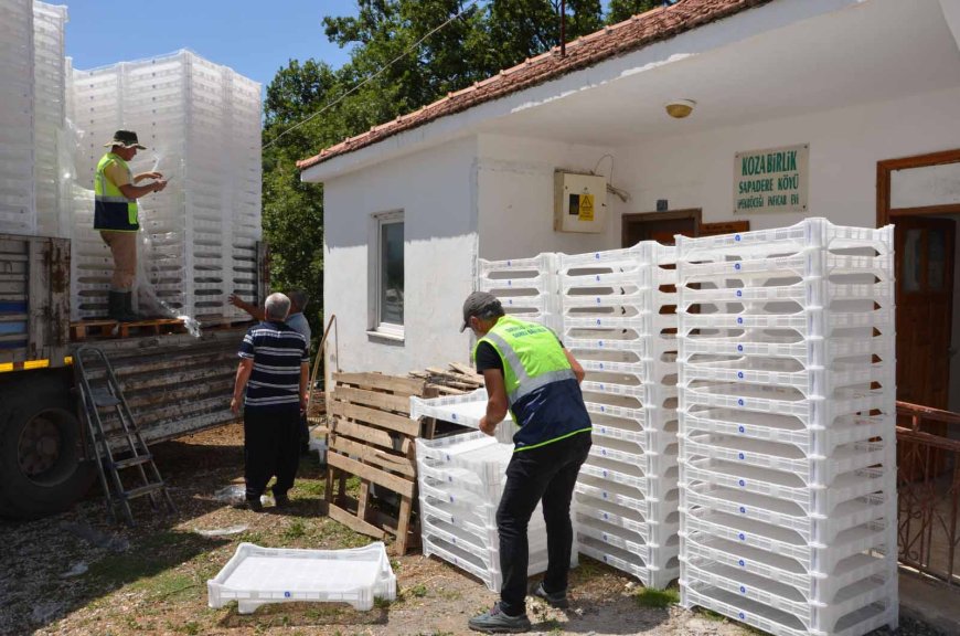 Antalya'da Yerelden Kalkınma Projesiyle İpek Üretimi Canlanıyor