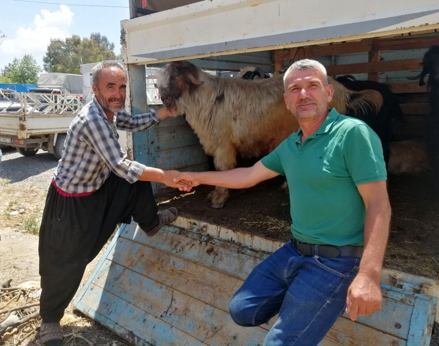 Gazipaşa Kurban Pazarında Alıcı da Satıcı da Memnun