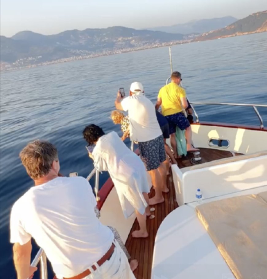 Alanya’da Tekne Turu Sırasında Yunus Sürprizi