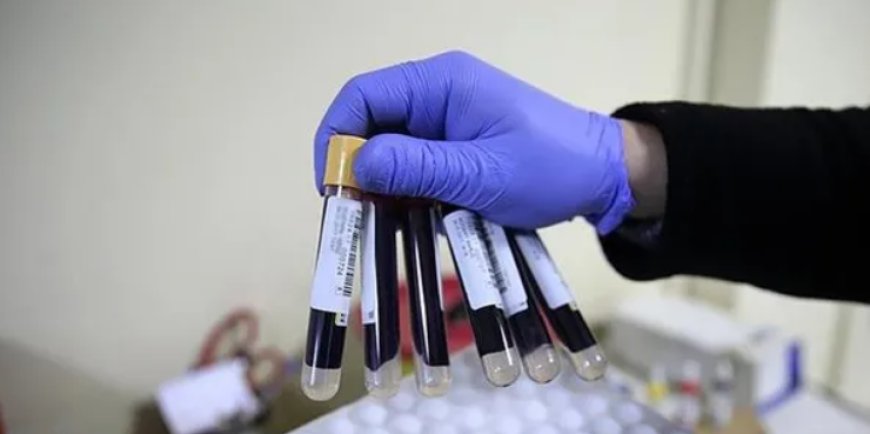 Diyetisyen Uyardı: B12 ve Demir Eksikliği Göz Ardı Edilmemeli