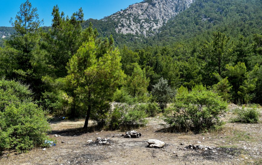Antalya Ormanları Tehlikede: Yasaklara Rağmen Ateş Yakılıyor