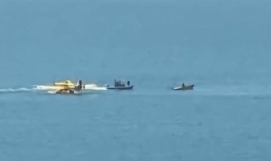 Yangın söndürme uçağı Seyhan Gölü'ne düştü