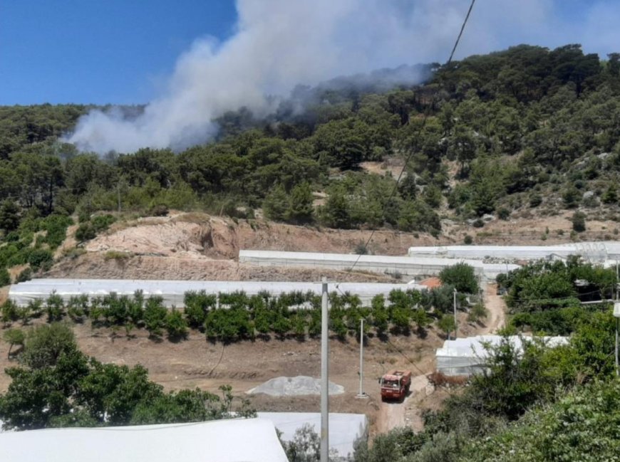 Antalya'nın Kumluca İlçesinde Orman Yangını: Ekipler Müdahaleye Devam Ediyor