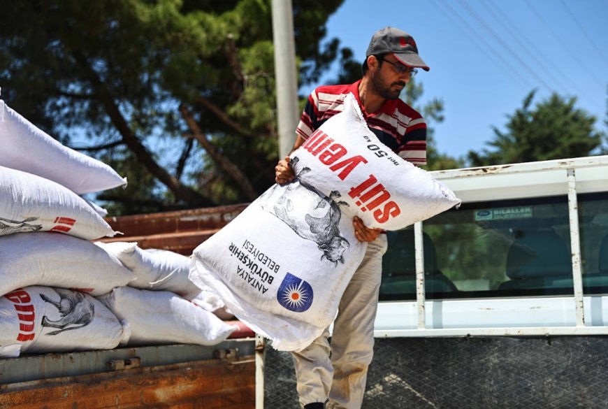 Antalya’da Hayvancılığa Büyükşehir Desteği: 59 Çiftçiye 2.851 Çuval Yem