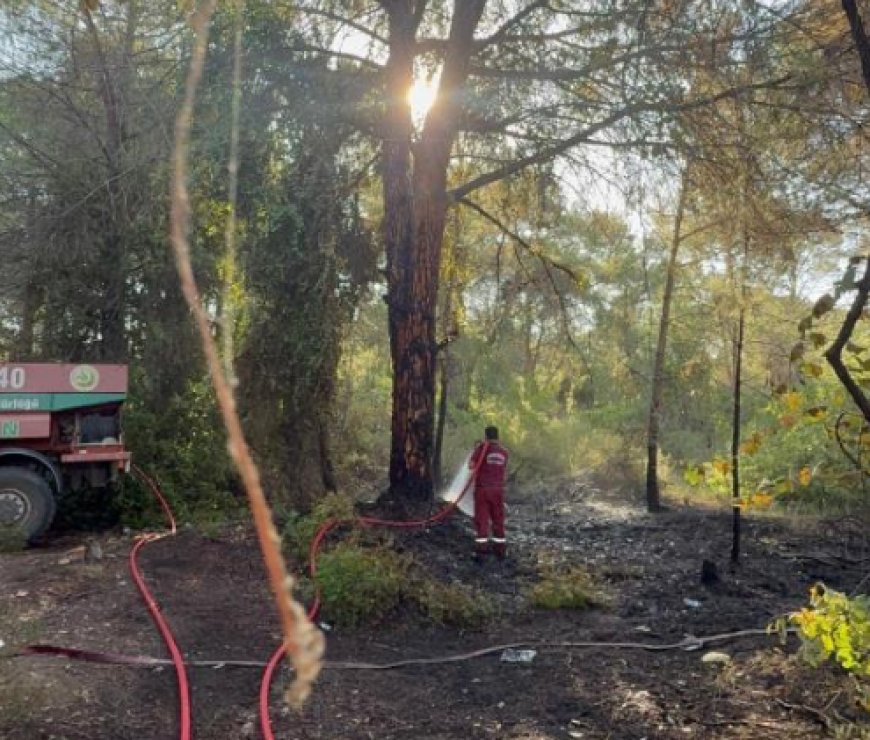 Antalya Serik’te Çıkan Yangın Hızlı Müdahaleyle Söndürüldü
