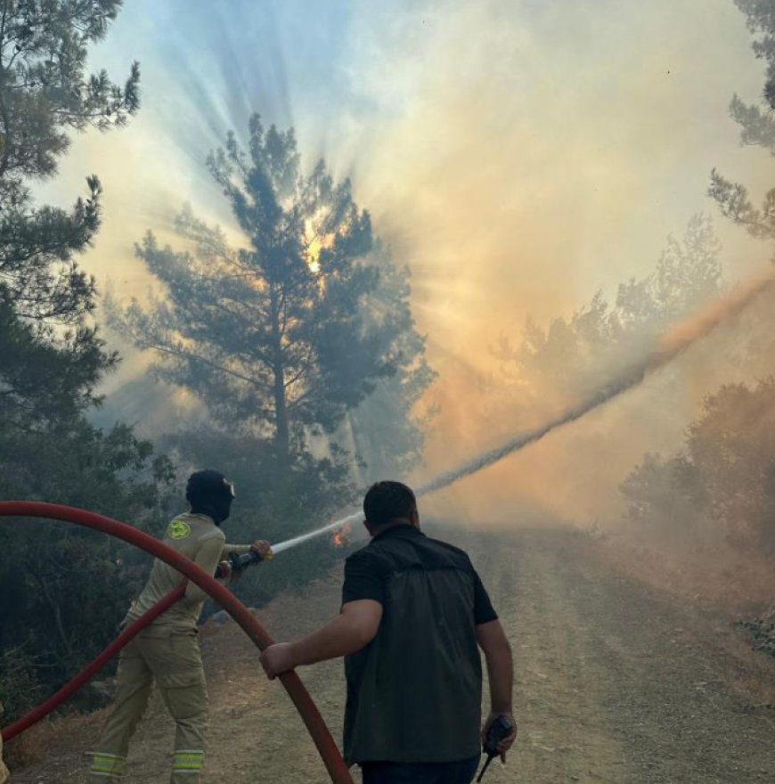 Gazipaşa’da Orman Yangını Çıktı, Müdahale Sürüyor