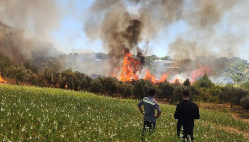 Antalya'da ormanlık ve kırsal alanda çıkan yangın kontrol altına alındı