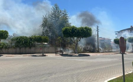 Manavgat’ta Elektrik Hattı Yangını: Büyük Tehlike Son Anda Önledi