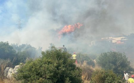 Antalya Aksu’da Ağaçlık Alanda Yangın Çıktı