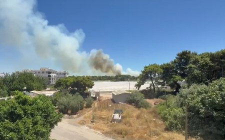 Antalya Güzeloba’da Yangın Kabusu Sürüyor: Aynı Nokta Tekrar Alev Aldı