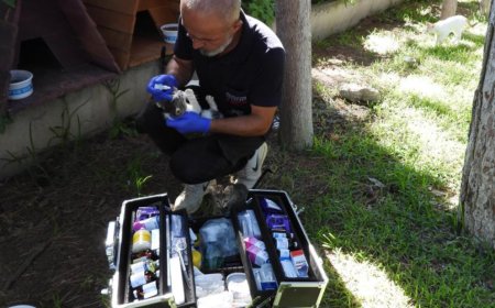 Kepez Belediyesi’nden Sokak Hayvanlarına Yaz Desteği