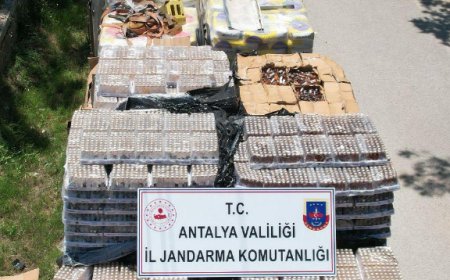 Antalya'da Kaçak Alkol Operasyonu: 45 Bin Litre Sahte İçki Ele Geçirildi