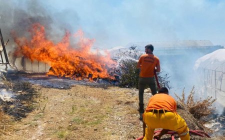 Serik’te Rüzgar Yangını Seralara Taşıdı