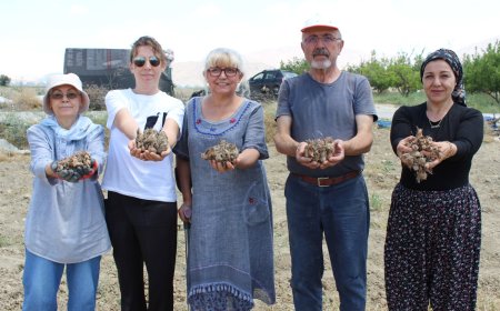 Antalya Büyükşehir’in Safran Desteği Üreticiyi Sevindirdi
