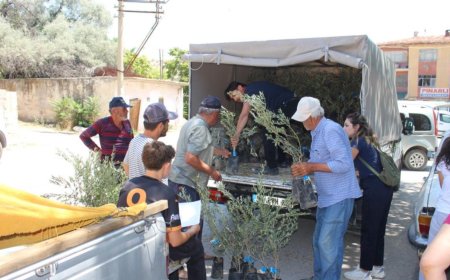 Antalya Büyükşehir Belediyesi’nden 2 Bin Üreticiye Zeytin Fidanı Desteği