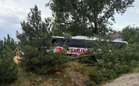 Yolcu Otobüsü Yağmurda Kontrolden Çıktı: Çok Sayıda Yaralı Var
