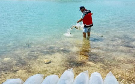 Doğaya Destek, Suya Can: Korkuteli’ye 60 Bin Yavru Balık