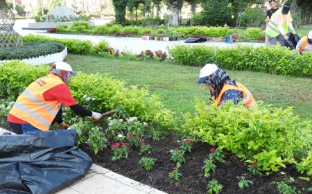 Kepez Belediyesi’nden Yaz Sıcağına Karşı Yeşil Alan Hamlesi