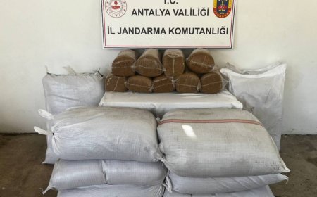 Gazipaşa’da 800 Kilogram Kaçak Tütün Ele Geçirildi