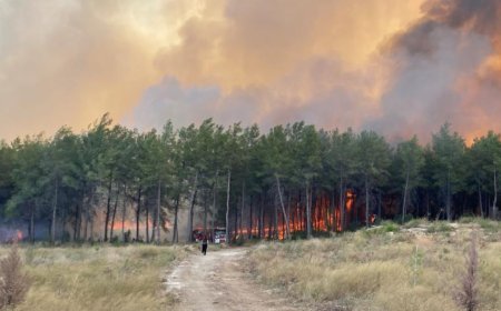Antalya Aksu’da Orman Yangını: Müdahale Sürüyor