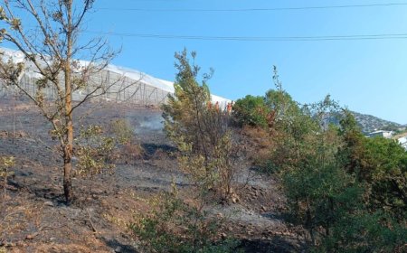 Alanya’da Sabah Saatlerinde Çıkan Yangın Kısa Sürede Söndürüldü
