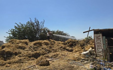 Manavgat’ta Elektrik Hattı Yangına Neden Oldu: 1500 Saman Balya Küle Döndü