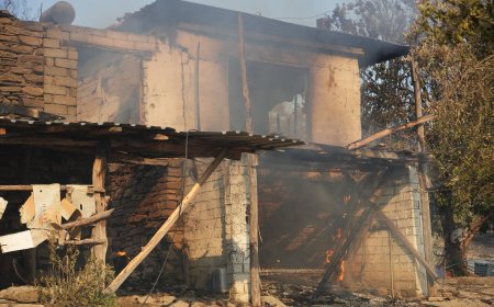 Serik'teki orman yangınında evler ve ahırlar yandı