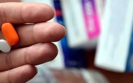 Gıdalardan Bulaşan Salmonella, Çoklu İlaca Direnç Geliştiriyor