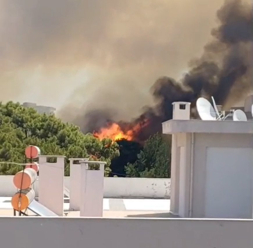 Antalya Kundu’da Yangın Çıktı, Ekiplerin Müdahalesi Sürüyor