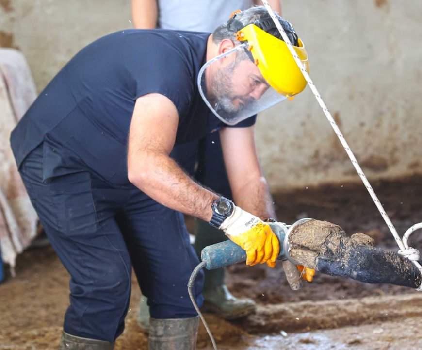 Antalya Büyükşehir Belediyesi’nden Ücretsiz Veterinerlik Desteği