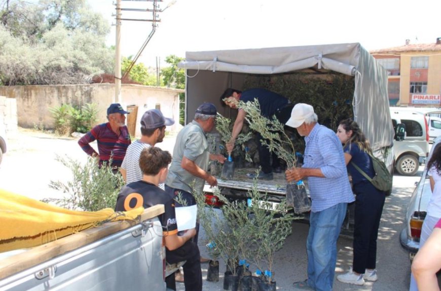 Antalya Büyükşehir Belediyesi’nden 2 Bin Üreticiye Zeytin Fidanı Desteği
