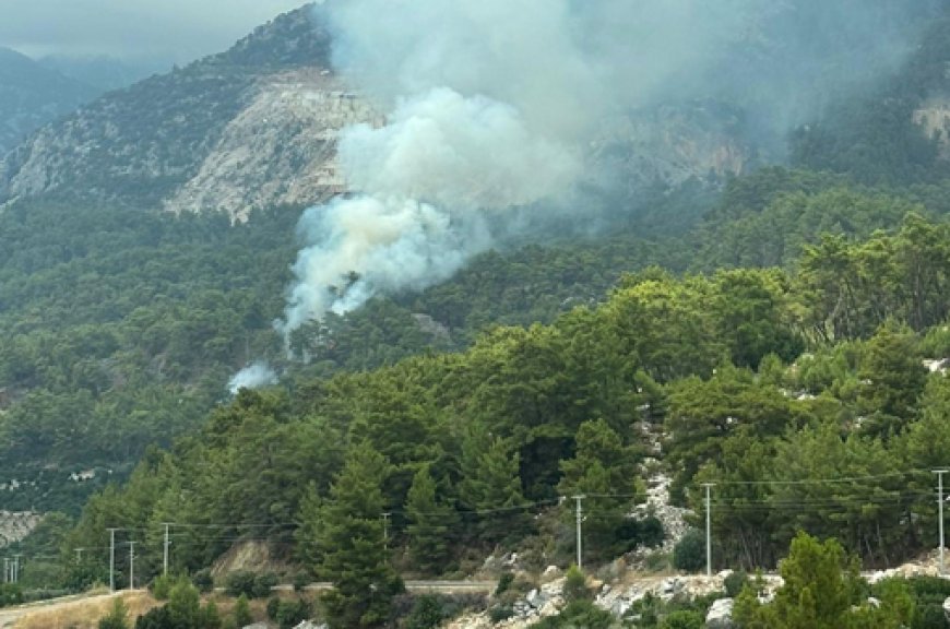Kumluca’da Çıkan Orman Yangını Büyümeden Söndürüldü