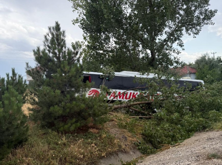 Yolcu Otobüsü Yağmurda Kontrolden Çıktı: Çok Sayıda Yaralı Var