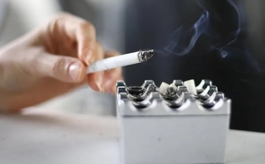 Dumansız Türkiye Seferberliği Başladı: Başvurular Rekor Kırdı