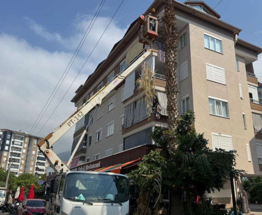 AEDAŞ ve Alanya Belediyesi’nden Enerji Hattı Güvenliği Atağı